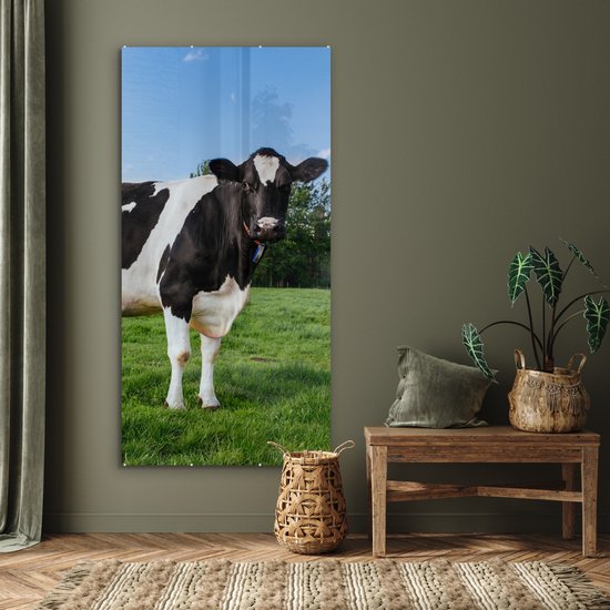 MuchoWow® Peinture sur verre 80x160 cm - Peinture sur verre acrylique - Vache - Zwart - Wit - Nederland - Photo sur verre - Peintures