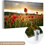 MuchoWow® Glasschilderij 80x40 cm - Schilderij acrylglas - Kleurrijke lucht boven vele Klaprozen - Foto op glas - Schilderijen