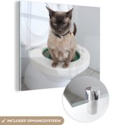 MuchoWow® Glasschilderij 50x50 cm - Schilderij acrylglas - Een Burmees kat zit op het toilet - Foto op glas - Schilderijen