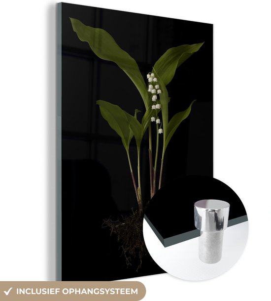 MuchoWow® Glasschilderij 30x40 cm - Schilderij acrylglas - Een lelietje van dalen met bladeren op een zwarte achtergrond - Foto op glas - Schilderijen
