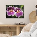 Product afbeelding  7