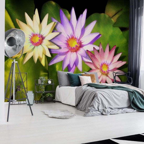 Papier peint Fleurs Natur | XXXL - 416 cm x 254 cm | Polaire 130g / m2