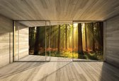 Fotobehang Window Forest Trees Beam Light Nature | XXL - 312cm x 219cm | 130g/m2 Vlies