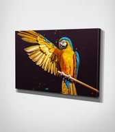 Parrot Canvas | 40x60 cm