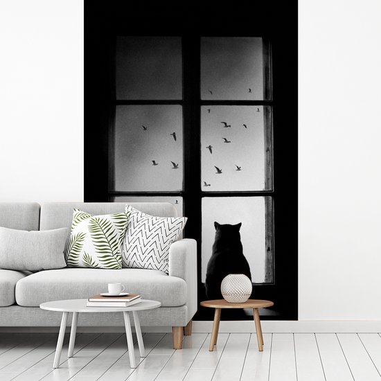 Kat - Dieren - Zwart wit - Raam