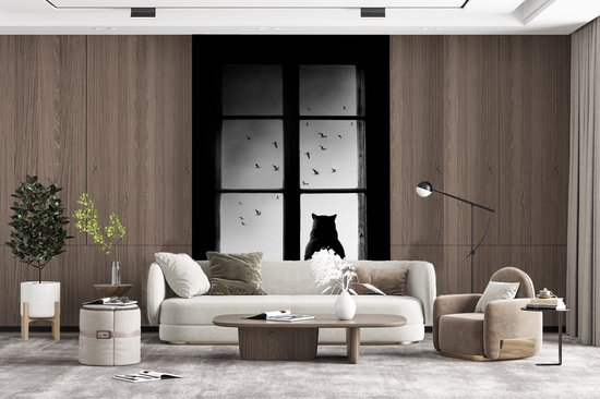 Kat - Dieren - Zwart wit - Raam