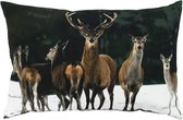 grand coussin toile pack cerf 40x60cm