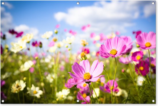 Tuinposter 120x80 cm - Tuindecoratie Bloemen - Wei - Paars - Gras - Wit - Wolken - Blauw - Poster voor in de tuin - Buiten decoratie - Schutting tuinschilderij - Tuindoek muurdecoratie - Wanddecoratie balkondoek