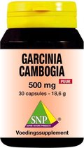 SNP Garcinia cambogia 500 mg puur 30 capsules
