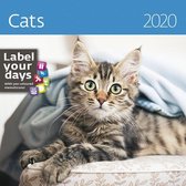 Katten - Cats Kalender 2020