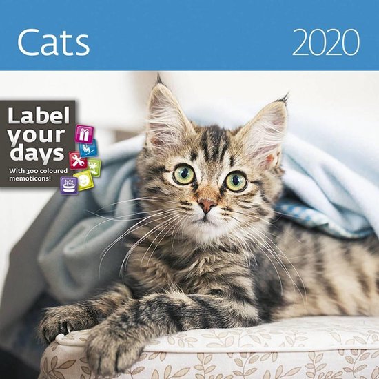 Katten - Cats Kalender 2020 - Helma