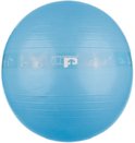 Ultimate Performance Performance Gym Ball 65cm diameter blauw unisex (UP3032-65)