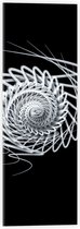 Acrylglas - Wit Slakvormig Object tegen Zwarte Achtergrond - 20x60 cm Foto op Acrylglas (Met Ophangsysteem)