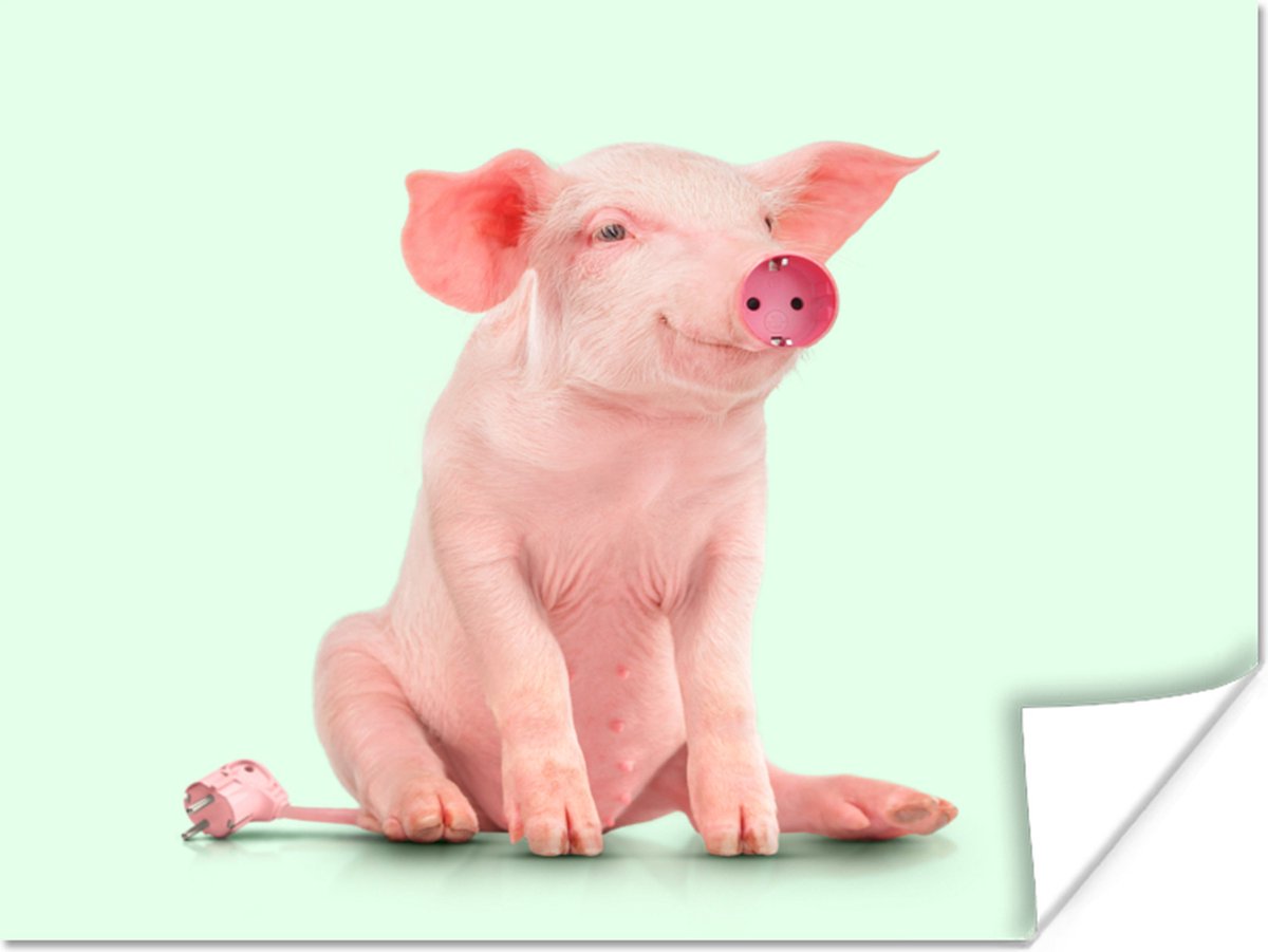 Poster Varken - Roze - Stopcontact - Dieren - 80x60 cm