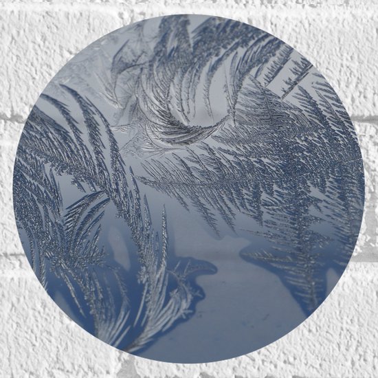 Muursticker Cirkel - Bevroren Vogel Veren - 20x20 cm Foto op Muursticker
