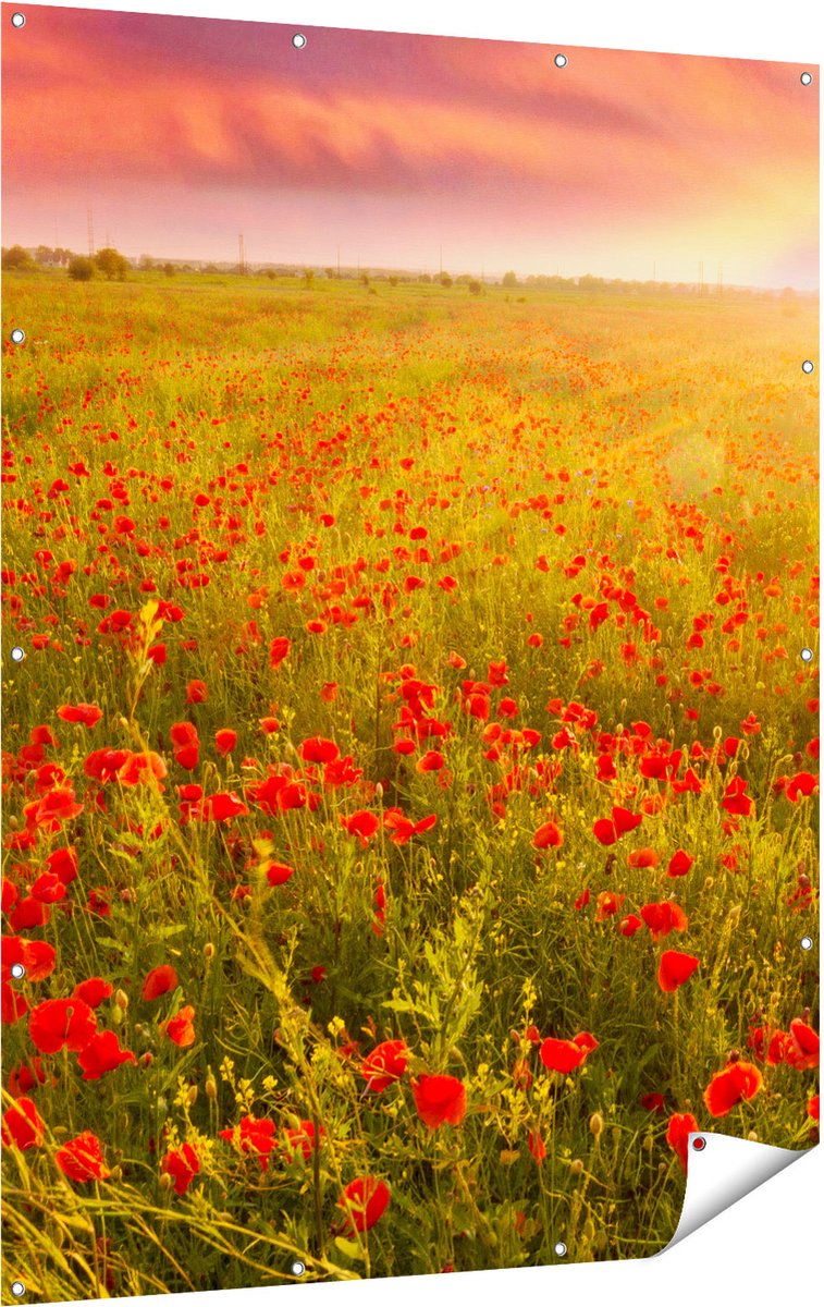 Gards Tuinposter Rode Klaproos Bloemenveld - Zonsondergang - 120x160 cm - Tuindoek - Tuindecoratie - Wanddecoratie buiten - Tuinschilderij Multikleur