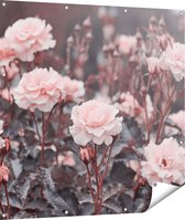 Gards Tuinposter Roze Rozen Bloemen - 110x110 cm - Tuindoek - Tuindecoratie - Wanddecoratie buiten - Tuinschilderij