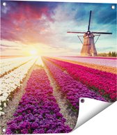 Gards Tuinposter Kleurrijke Tulpen Bloemenveld - Windmolen - 60x60 cm - Tuindoek - Tuindecoratie - Wanddecoratie buiten - Tuinschilderij