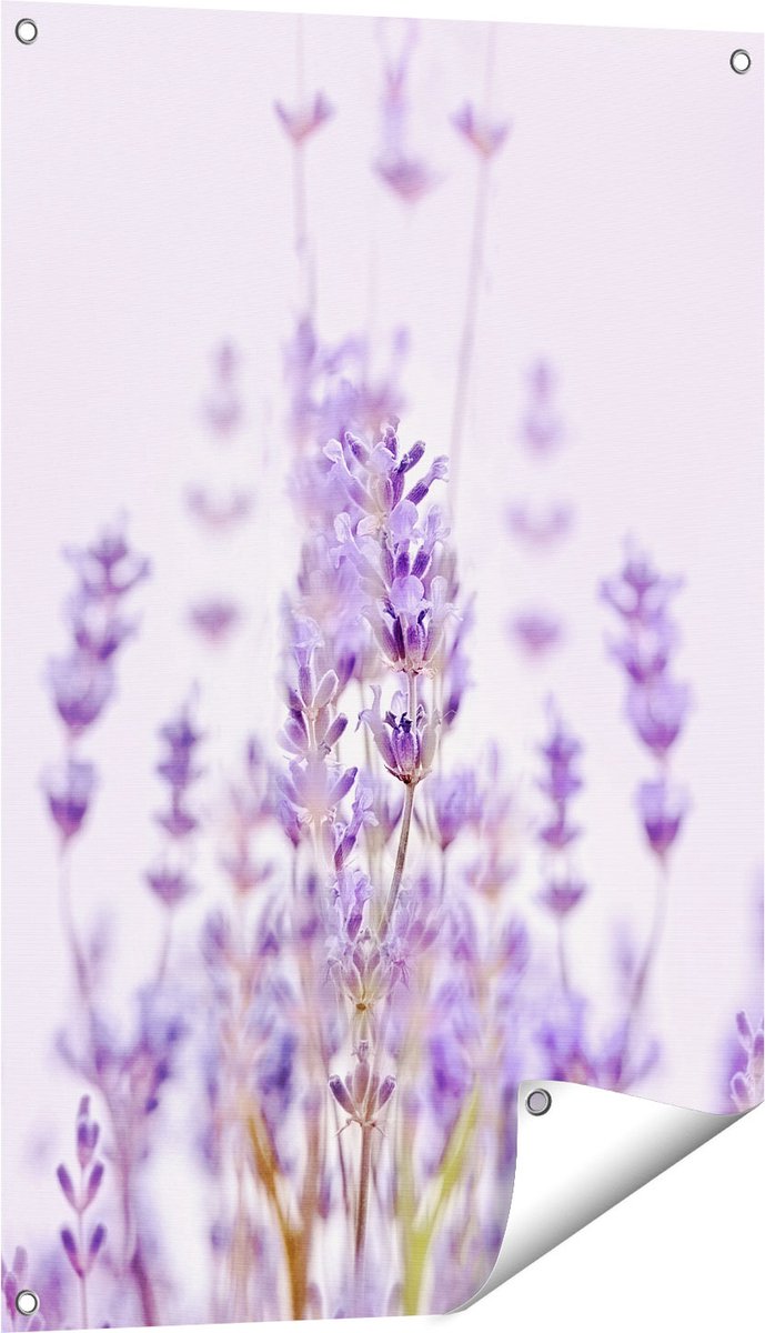 Gards Tuinposter Paarse Lavendel Bloemen - 60x90 cm - Tuindoek - Tuindecoratie - Wanddecoratie buiten - Tuinschilderij Multikleur