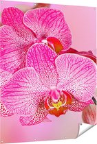 Gards Tuinposter Roze Orchidee Bloemen - 120x150 cm - Tuindoek - Tuindecoratie - Wanddecoratie buiten - Tuinschilderij