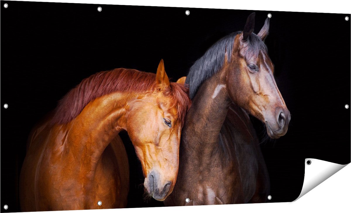 Gards Tuinposter Twee Bruine Paarden Koppel - Liefde - 160x80 cm - Tuindoek - Tuindecoratie - Wanddecoratie buiten - Tuinschilderij Multikleur