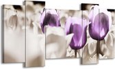 Peinture sur toile Tulipes | Violet, gris, blanc | 120x65 5 Liège