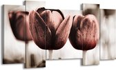 GroepArt - Schilderij - Tulpen - Bruin, Wit - 120x65 5Luik - Foto Op Canvas - GroepArt 6000+ Schilderijen 0p Canvas Art Collectie - Wanddecoratie