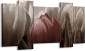 GroepArt - Schilderij - Tulp - Bruin, Grijs, Wit - 120x65 5Luik - Foto Op Canvas - GroepArt 6000+ Schilderijen 0p Canvas Art Collectie - Wanddecoratie