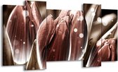 Peinture sur toile Tulipe | brun blanc | 120x65 5 Liège