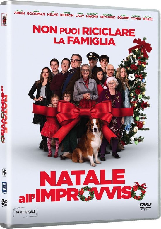 Rai Cinema Love the Coopers DVD Italiaans