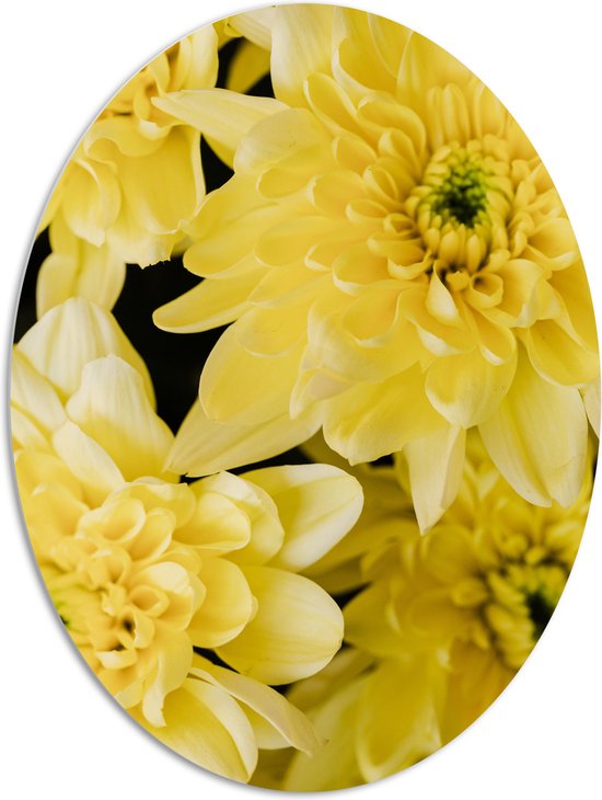 PVC Schuimplaat Ovaal - Close-up van Viertal Gele Bloemetjes - 81x108 cm Foto op Ovaal (Met Ophangsysteem)