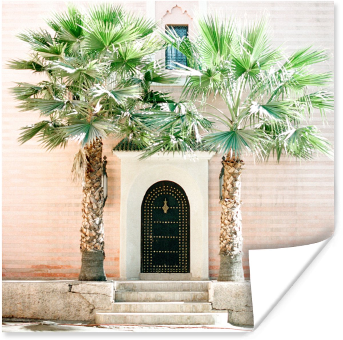 Deur - Marrakesh - Palmboom - Wit - Tropisch