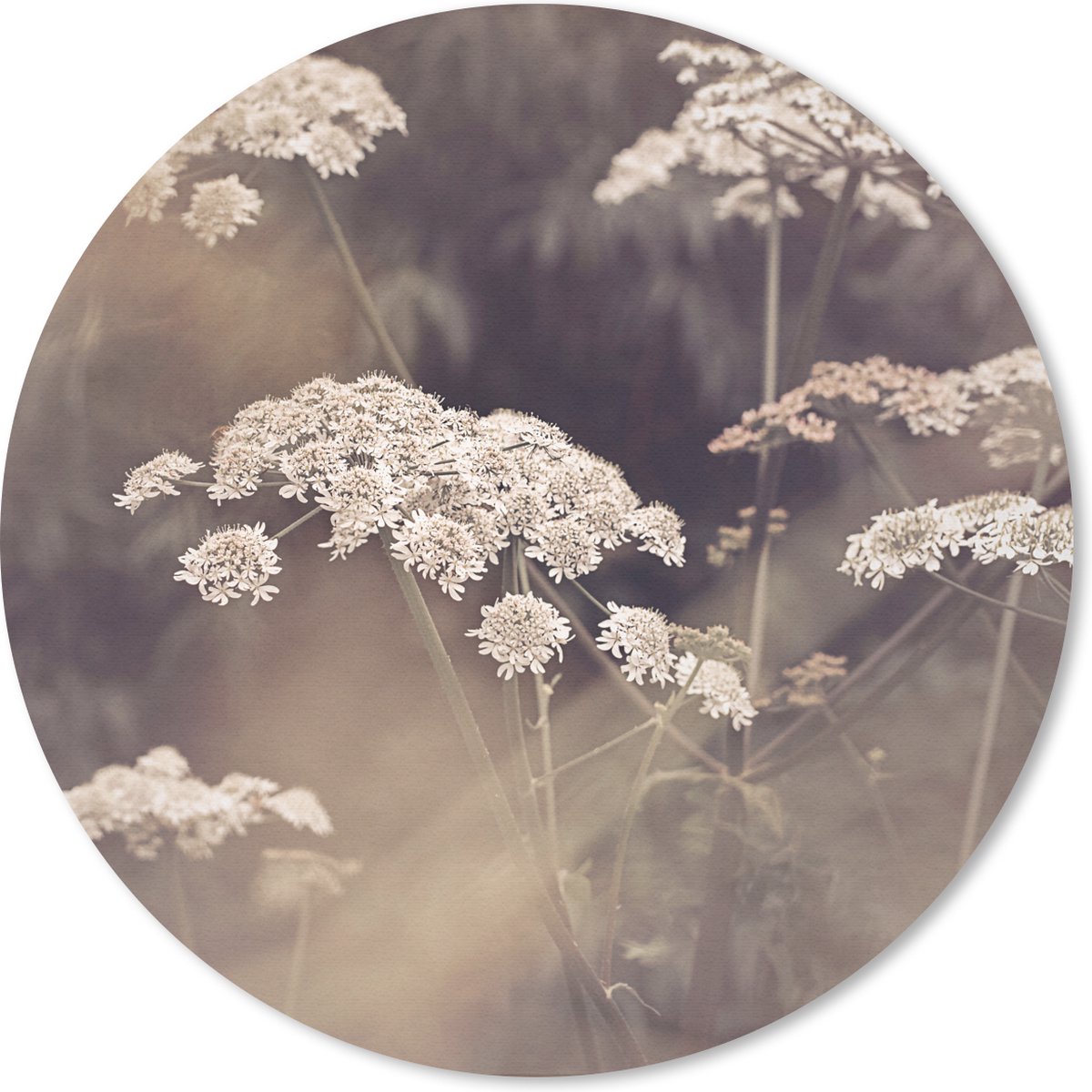 Muismat rond 30x30 cm - Mousepad Plant - Wit - Natuur - Bloemen - Ronde muismatten