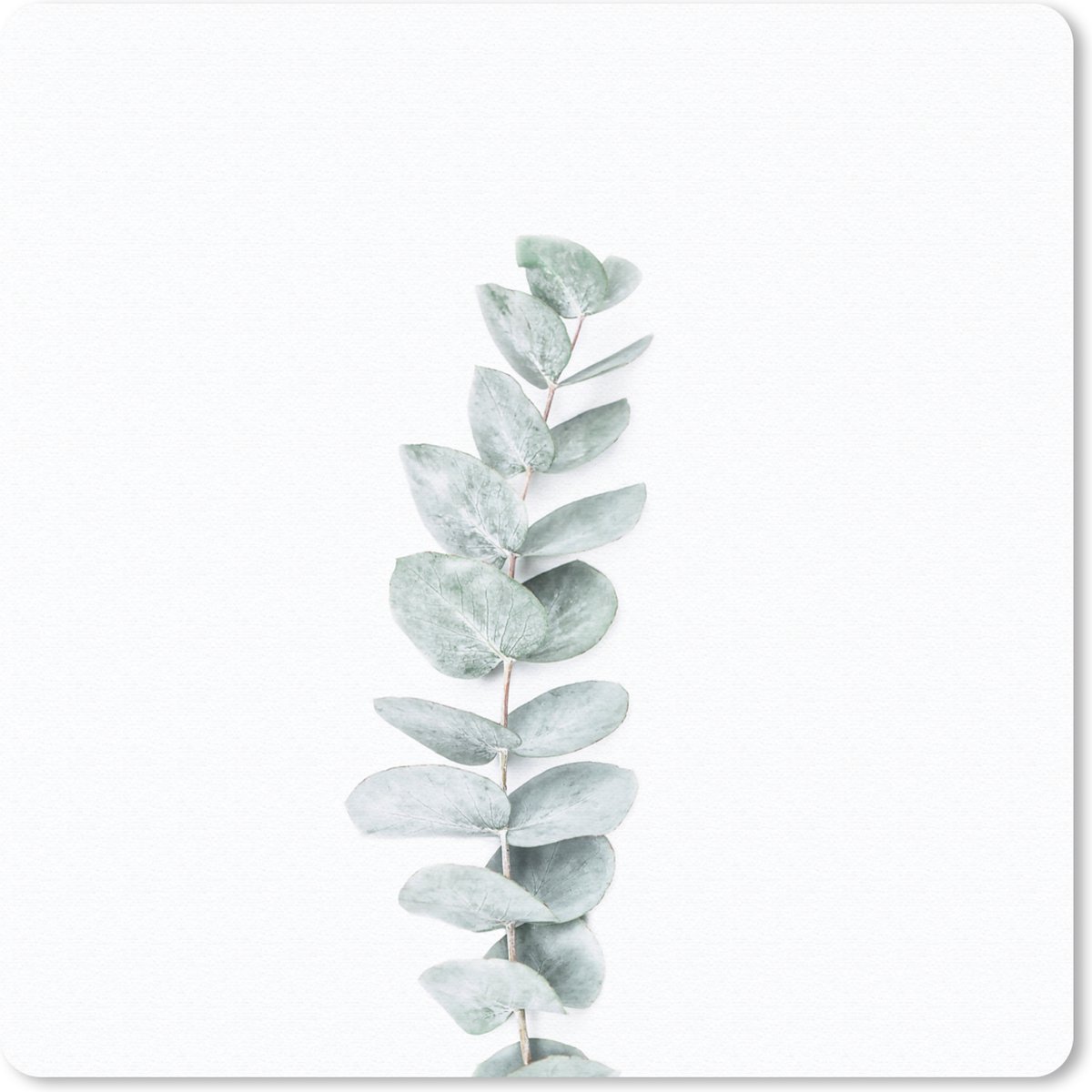 Muismat 20x20 cm - Mousepad Plant - Groen - Natuur - Wit - Muismatten
