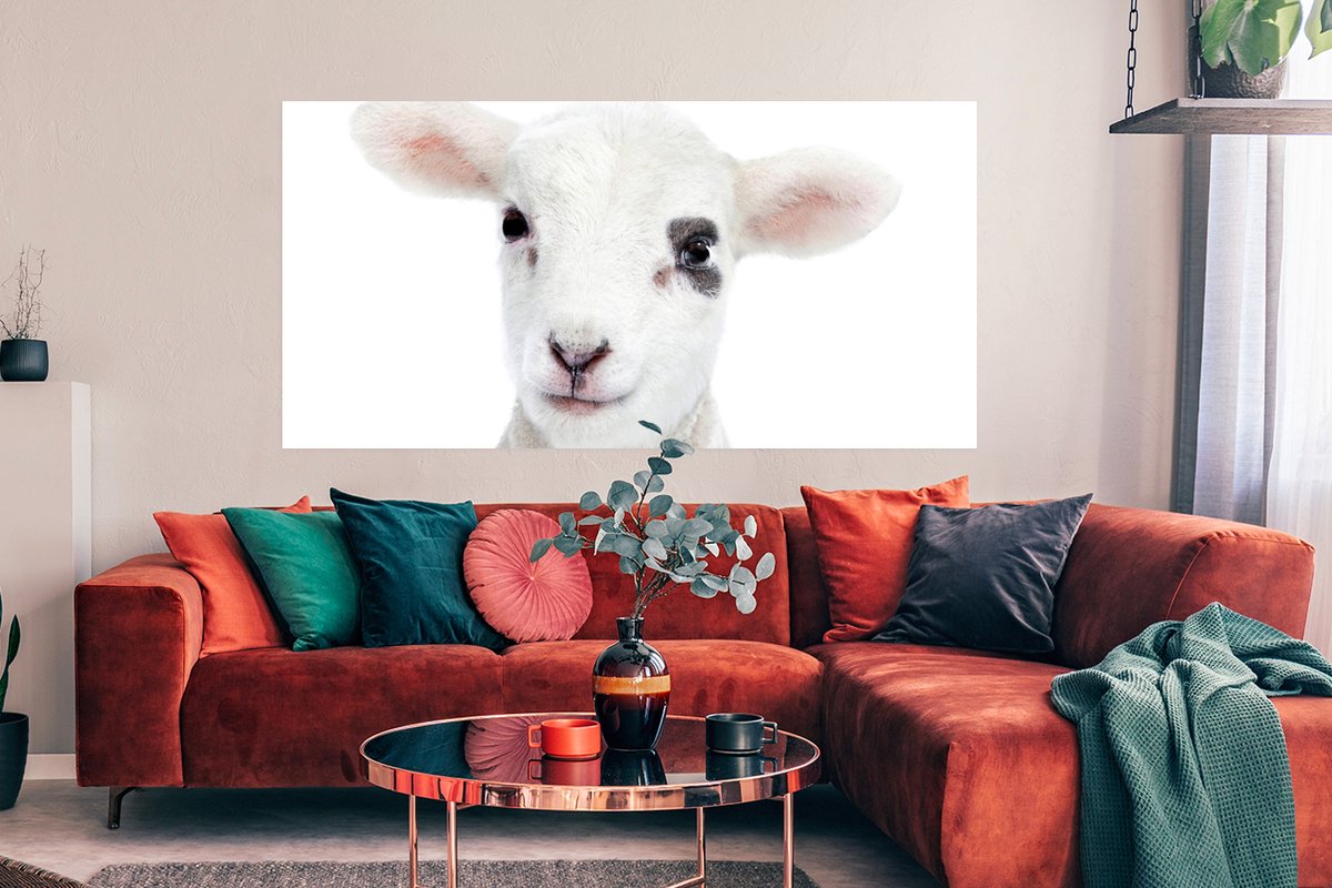 Poster Lam - Wit - Dieren - Natuur - 150x75 cm