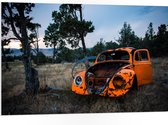 PVC Schuimplaat - Kapotte Oranje Auto in landschap - 105x70 cm Foto op PVC Schuimplaat (Met Ophangsysteem)