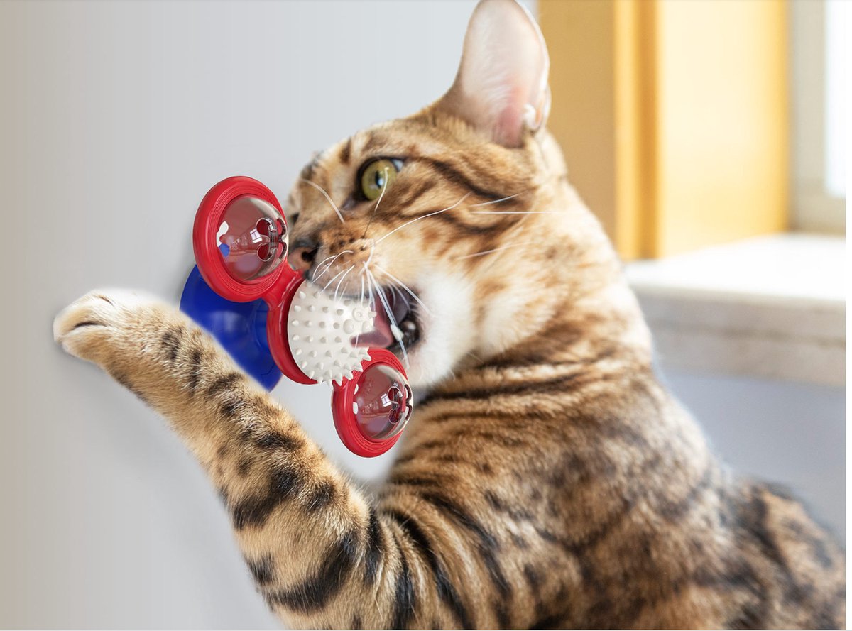 Jouet,Windmill Jouets pour chats Puzzle Tourne-tourner avec brosse Chat  Jouer Jeu Jouets Moulin à vent