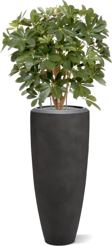 Schefflera kunstplant 80cm