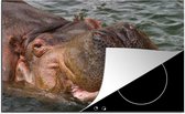 KitchenYeah® Inductie beschermer 78x52 cm - Nijlpaard - Water - Kookplaataccessoires - Afdekplaat voor kookplaat - Inductiebeschermer - Inductiemat - Inductieplaat mat
