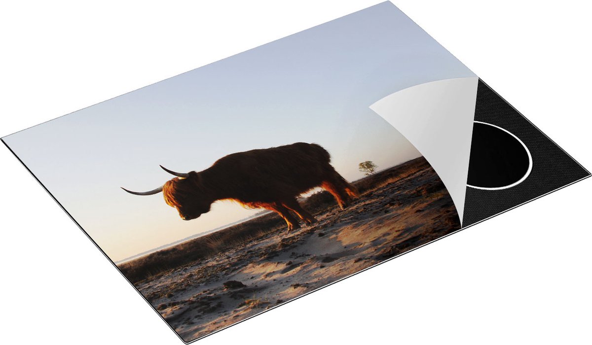 Chefcare Inductie Beschermer Twee Schotse Hooglanders op het Strand - 70x55 cm - Afdekplaat Inductie - Kookplaat Beschermer - Inductie Mat