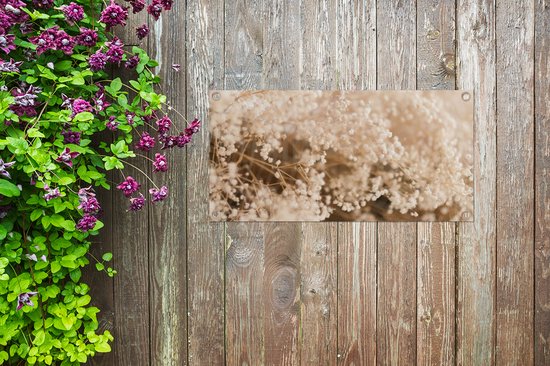 Affiche de jardin - Pampa - Herbe de la pampa plante de jardin - Plantes - Nature - Rose - 80x40 cm - Affiche de jardin fleurs - Jardin - Décoration murale - Décoration murale - Toile de jardin