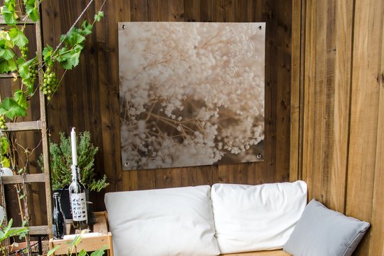 Affiche jardin - Pampa - Herbe de la pampa plante de jardin - Plantes - Nature - Rose - 100x100 cm - Affiche jardin fleurs - Jardin - Décoration murale - Décoration murale - Toile jardin - Affiche extérieur