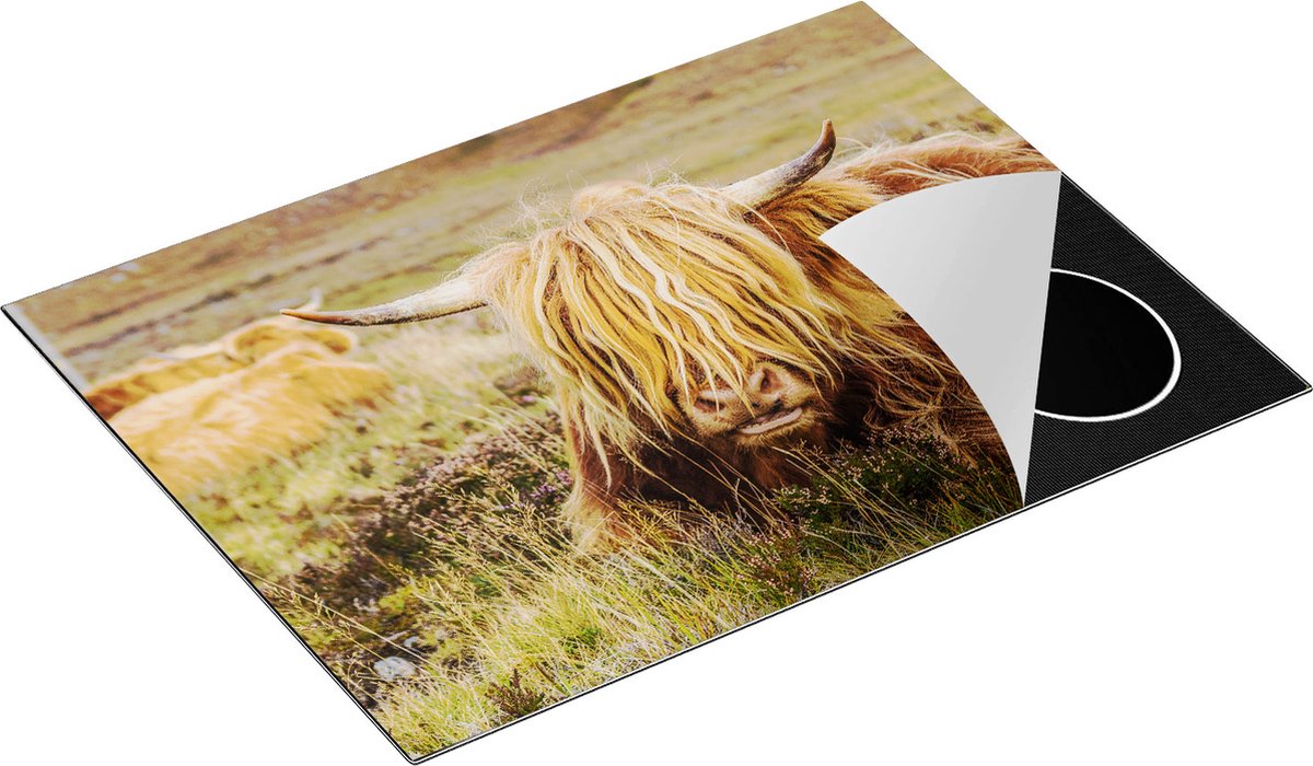 Chefcare Inductie Beschermer Harige Schotste Hooglander Koe in het Gras - 70x55 cm - Afdekplaat Inductie - Kookplaat Beschermer - Inductie Mat