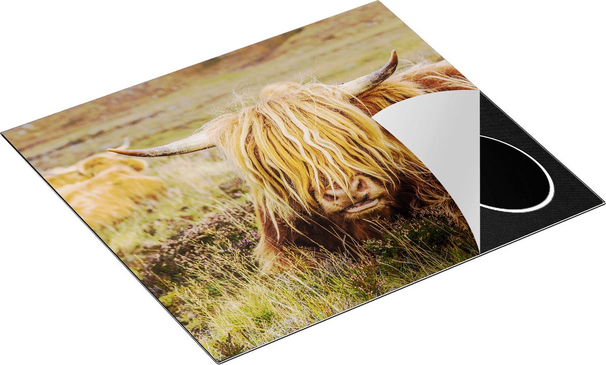 Chefcare Inductie Beschermer Harige Schotste Hooglander Koe in het Gras - 60x52 cm - Afdekplaat Inductie - Kookplaat Beschermer - Inductie Mat