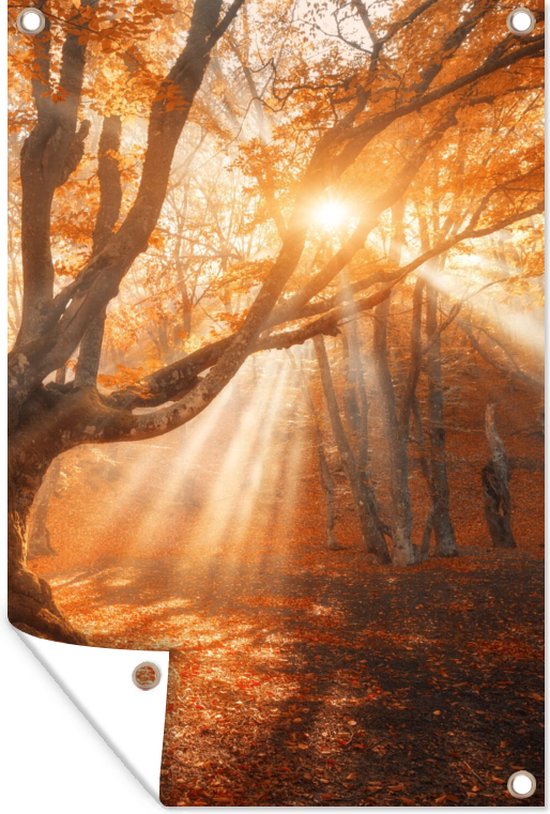 Tuinposter - Tuin - Tuinposter bos - Boom - Herfst - Bladeren - 60x90 cm - Tuinschilderij - Muurdecoratie - Wanddecoratie - Tuindoek - Buitenposter