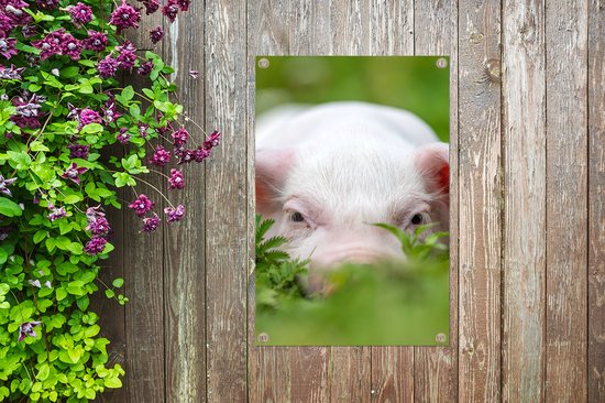 Affiche de jardin - Cochon - Herbe - Animaux - Vert - Jardin - Peinture de jardin - 40x60 cm - Décoration murale - Décoration murale - Toile de jardin - Affiche d'extérieur