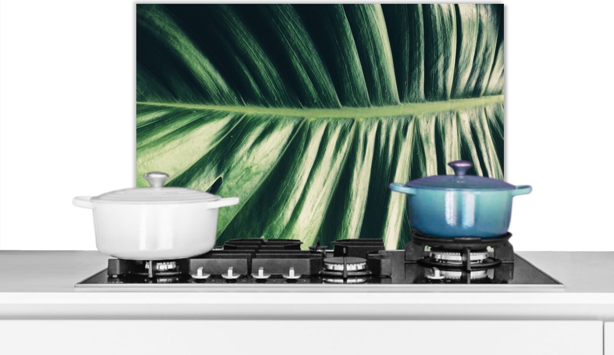 Spatscherm - Bladeren - Jungle - Tropical - Design - Natuur - Spatwand - 60x40 cm - Achterwand