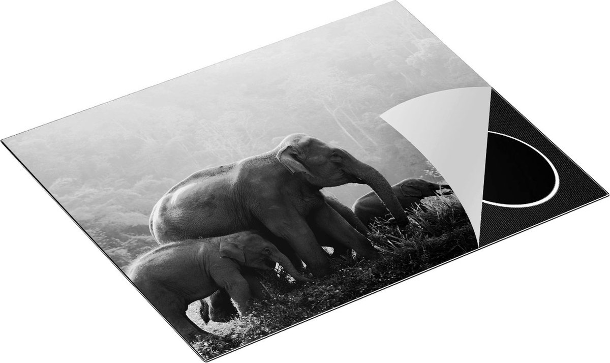 Chefcare Inductie Beschermer Olifanten Familie in de Jungle - Olifant - Zwart Wit - 65x50 cm - Afdekplaat Inductie - Kookplaat Beschermer - Inductie Mat