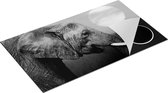 Chefcare Inductie Beschermer Olifantenkop bij Zonsondergang - Olifant - Zwart Wit - 91,2x52 cm - Afdekplaat Inductie - Kookplaat Beschermer - Inductie Mat