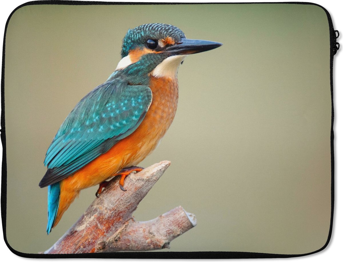 Laptophoes 17 inch - Vogel - IJsvogel - Tak - Laptop sleeve - Binnenmaat 41x28 cm - Zwarte achterkant